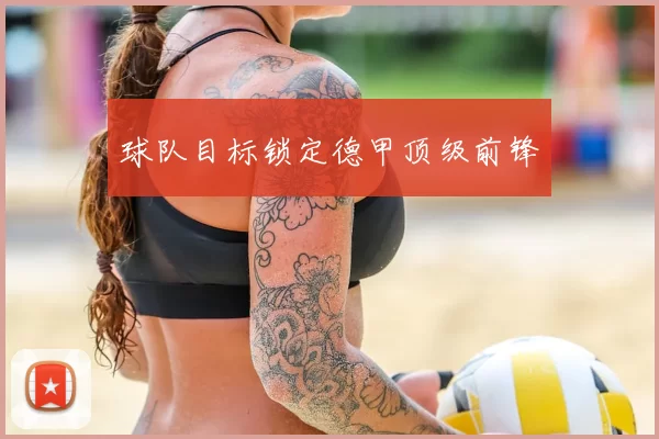 球队目标锁定德甲顶级前锋