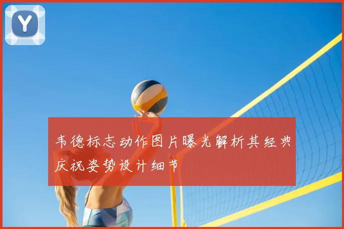 韦德标志动作图片曝光解析其经典庆祝姿势设计细节