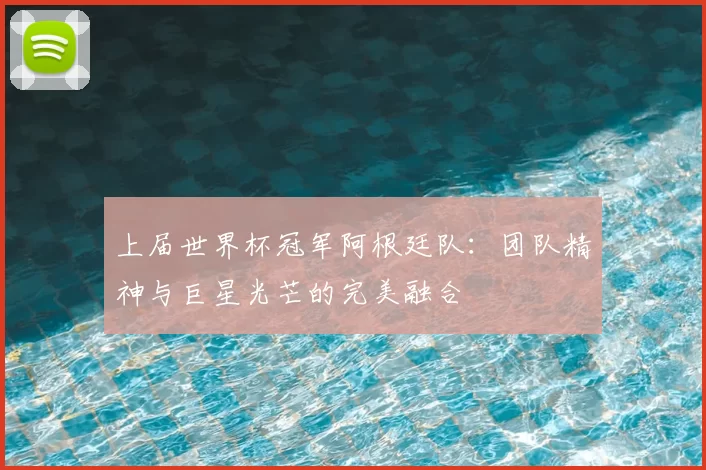 上届世界杯冠军阿根廷队：团队精神与巨星光芒的完美融合