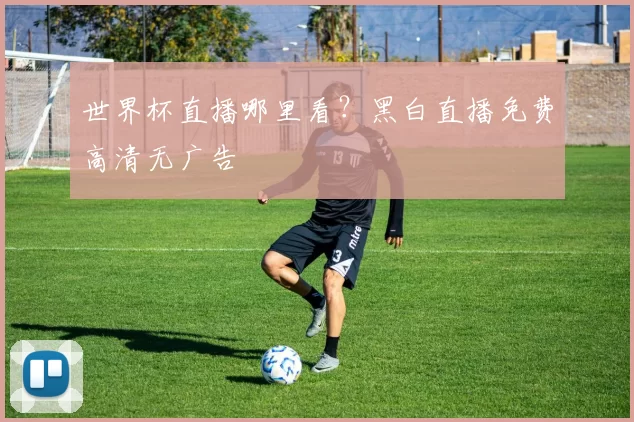 世界杯直播哪里看?黑白直播免费高清无广告