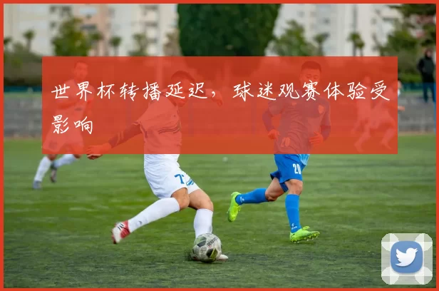 世界杯转播延迟,球迷观赛体验受影响